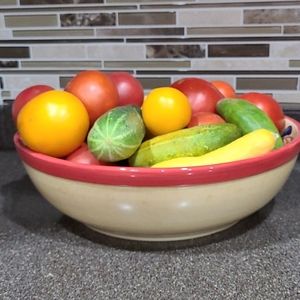 Large Pasta Bowl 13" x 4" Fiesta Colors Pamela Gladding Certified International
